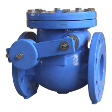 Double flange swing check valve with lever and count weight